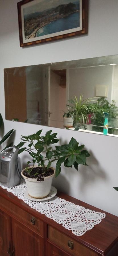 Atico Apartman La Guardia Kültér fotó