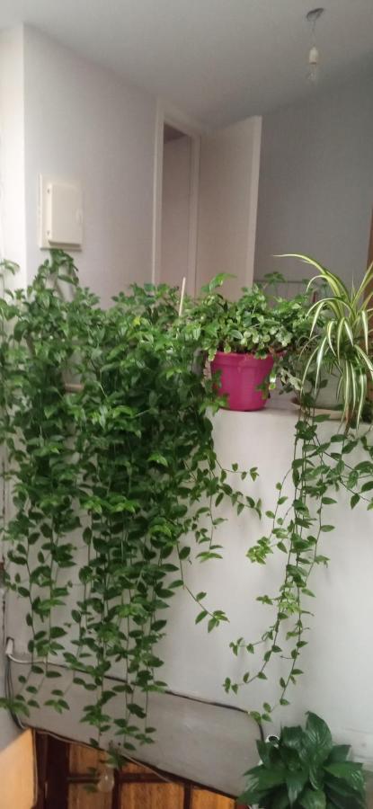 Atico Apartman La Guardia Kültér fotó